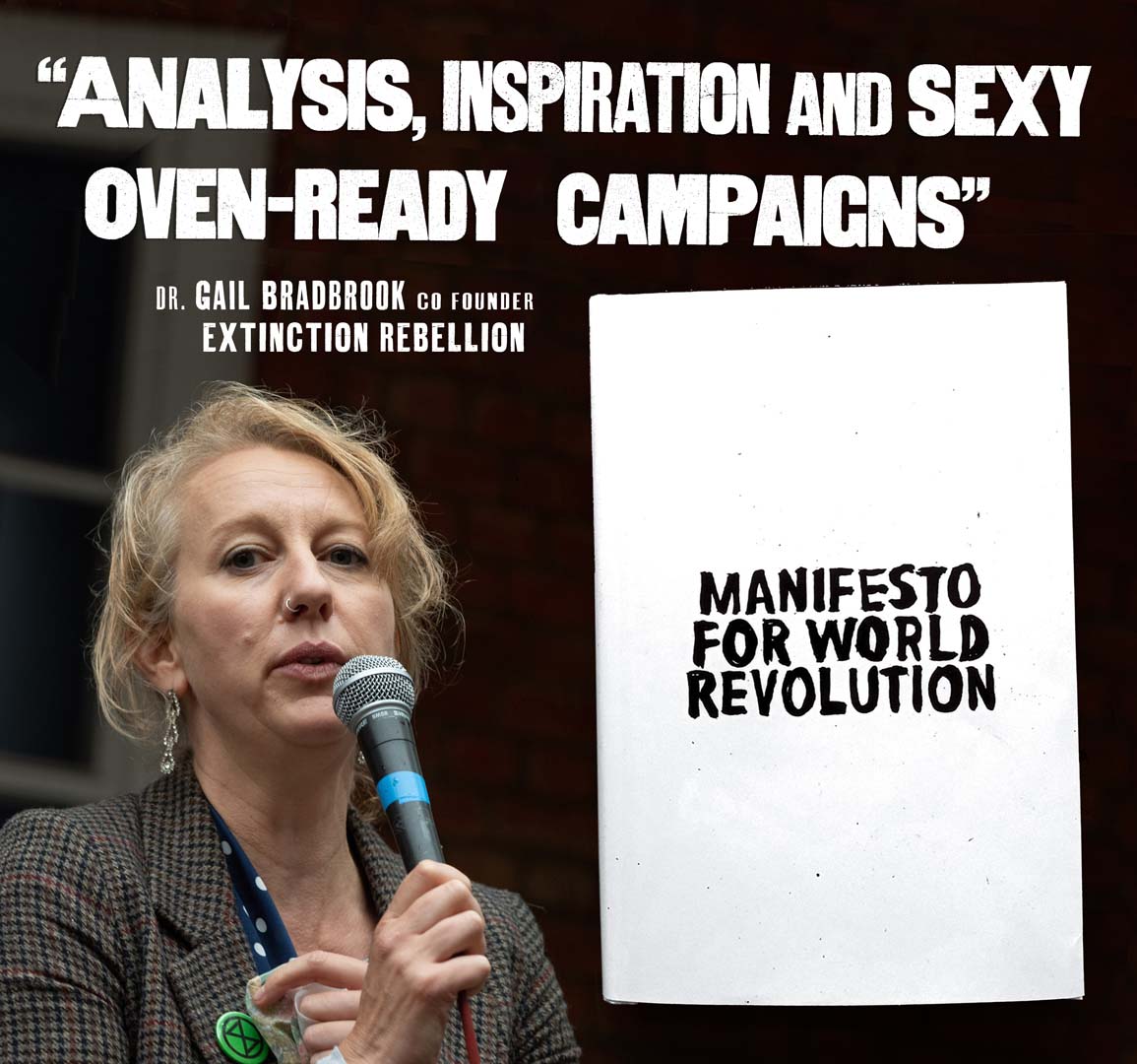 a manifesto for world revolution book open